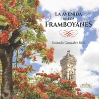 bokomslag avenida de los Framboyanes