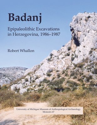 bokomslag Badanj
