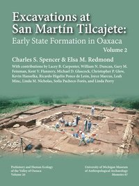 bokomslag Excavations at San Martín Tilcajete