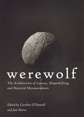 bokomslag Werewolf