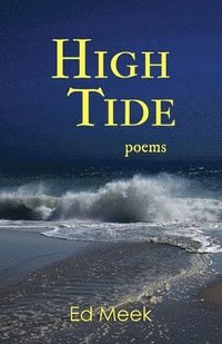 bokomslag High Tide