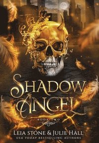 bokomslag Shadow Angel
