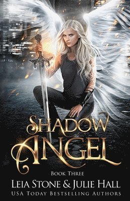 bokomslag Shadow Angel