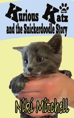 Kurious Katz and the Snickerdoodle Stor 1
