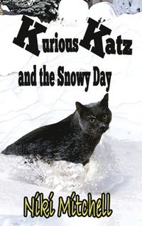 bokomslag Kurious Katz and the Snowy Day