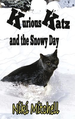 Kurious Katz and the Snowy Day 1