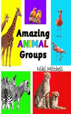 Amazing Animal Groups 1