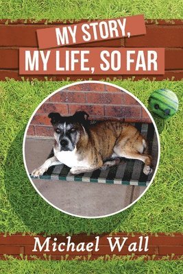 Michael Wall - My Story, My Life, So Far, Häftad