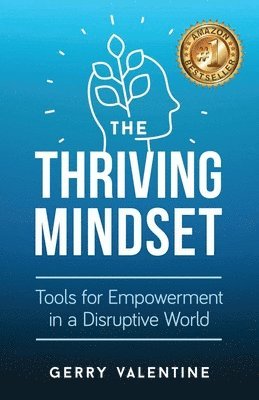 bokomslag Thriving Mindset