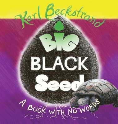 bokomslag Big Black Seed