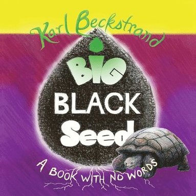 bokomslag Big Black Seed