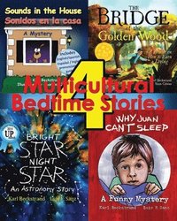 bokomslag 4 Multicultural Bedtime Stories