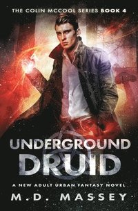 bokomslag Underground Druid