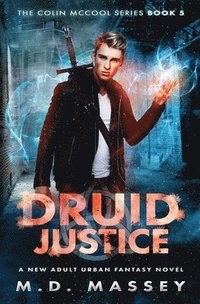 bokomslag Druid Justice