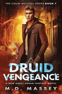 bokomslag Druid Vengeance