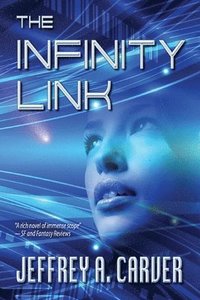 bokomslag The Infinity Link