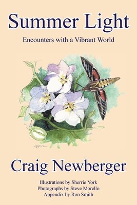 Craig Newberger - Summer Light, Häftad