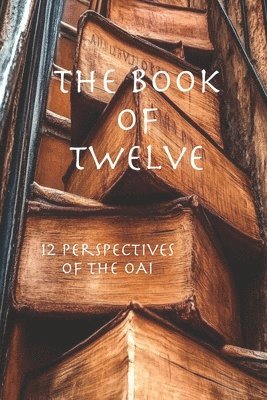 bokomslag The Book of Twelve