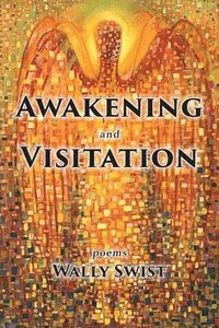 bokomslag Awakening and Visitation