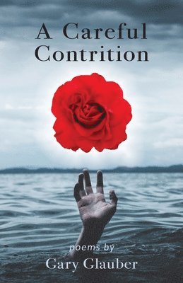 bokomslag Careful Contrition