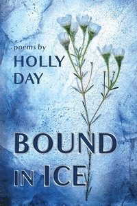 bokomslag Bound in Ice