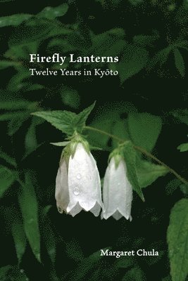 Firefly Lanterns 1