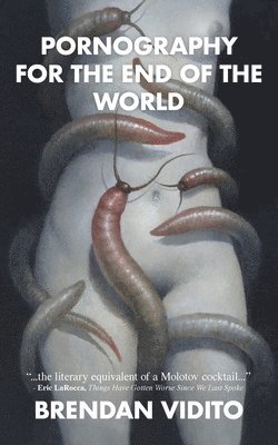 Brendan Vidito - Pornography for the End of the World, Häftad