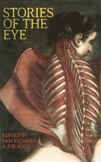bokomslag Stories of the Eye