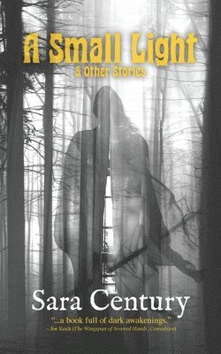 Sara Century - Small Light & Other Stories, Häftad