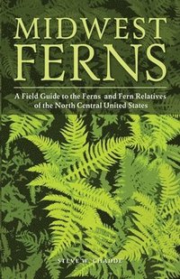 bokomslag Midwest Ferns: A Field Guide to the Ferns and Fern Relatives of the North Central United States