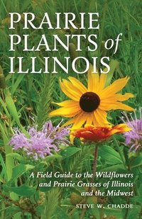 bokomslag Prairie Plants of Illinois: A Field Guide to the Wildflowers and Prairie Grasses of Illinois and the Midwest