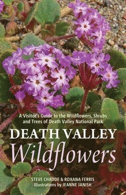 bokomslag Death Valley Wildflowers: A Visitor's Guide to the Wildflowers, Shrubs and Trees of Death Valley National Park