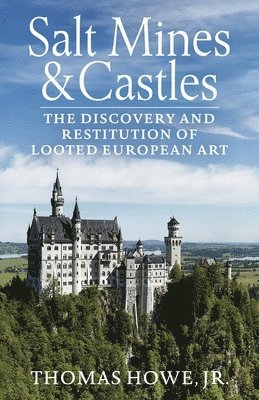 bokomslag Salt Mines and Castles