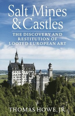 bokomslag Salt Mines and Castles: The Discovery and Restitution of Looted European Art