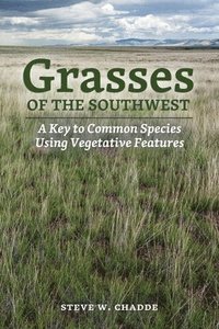 bokomslag Grasses of the Southwest: A Key to Common Species Using Vegetative Features