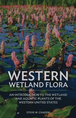Steve W. Chadde - Western Wetland Flora: An Introduction to the Wetland and Aquatic Plants of the Western United States, Häftad
