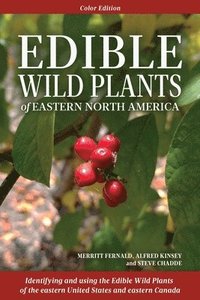 bokomslag Edible Wild Plants of Eastern North America