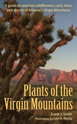 Plants of the Virgin Mountains 1