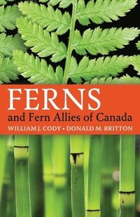 bokomslag Ferns and Fern Allies of Canada