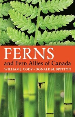William J Cody, Donald M Britton - Ferns and Fern Allies of Canada, Häftad
