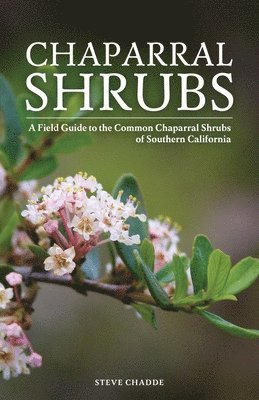 bokomslag Chaparral Shrubs