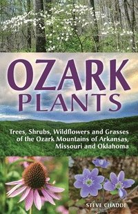 bokomslag Ozark Plants