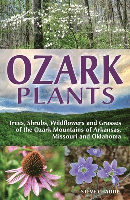 Steve Chadde - Ozark Plants, Häftad