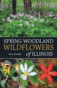 bokomslag Spring Woodland Wildflowers of Illinois