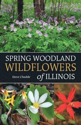 Steve Chadde - Spring Woodland Wildflowers of Illinois, Häftad
