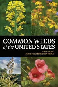 bokomslag Common Weeds of the United States