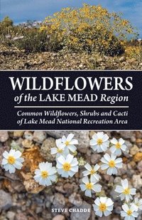 bokomslag Wildflowers of the Lake Mead Region