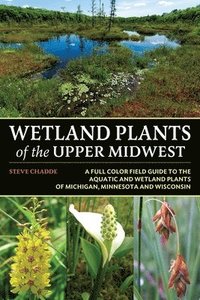 bokomslag Wetland Plants of the Upper Midwest