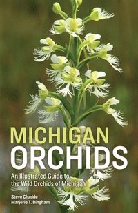 bokomslag Michigan Orchids