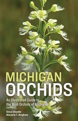Steve W Chadde, Marjorie T Bingham - Michigan Orchids, Häftad
